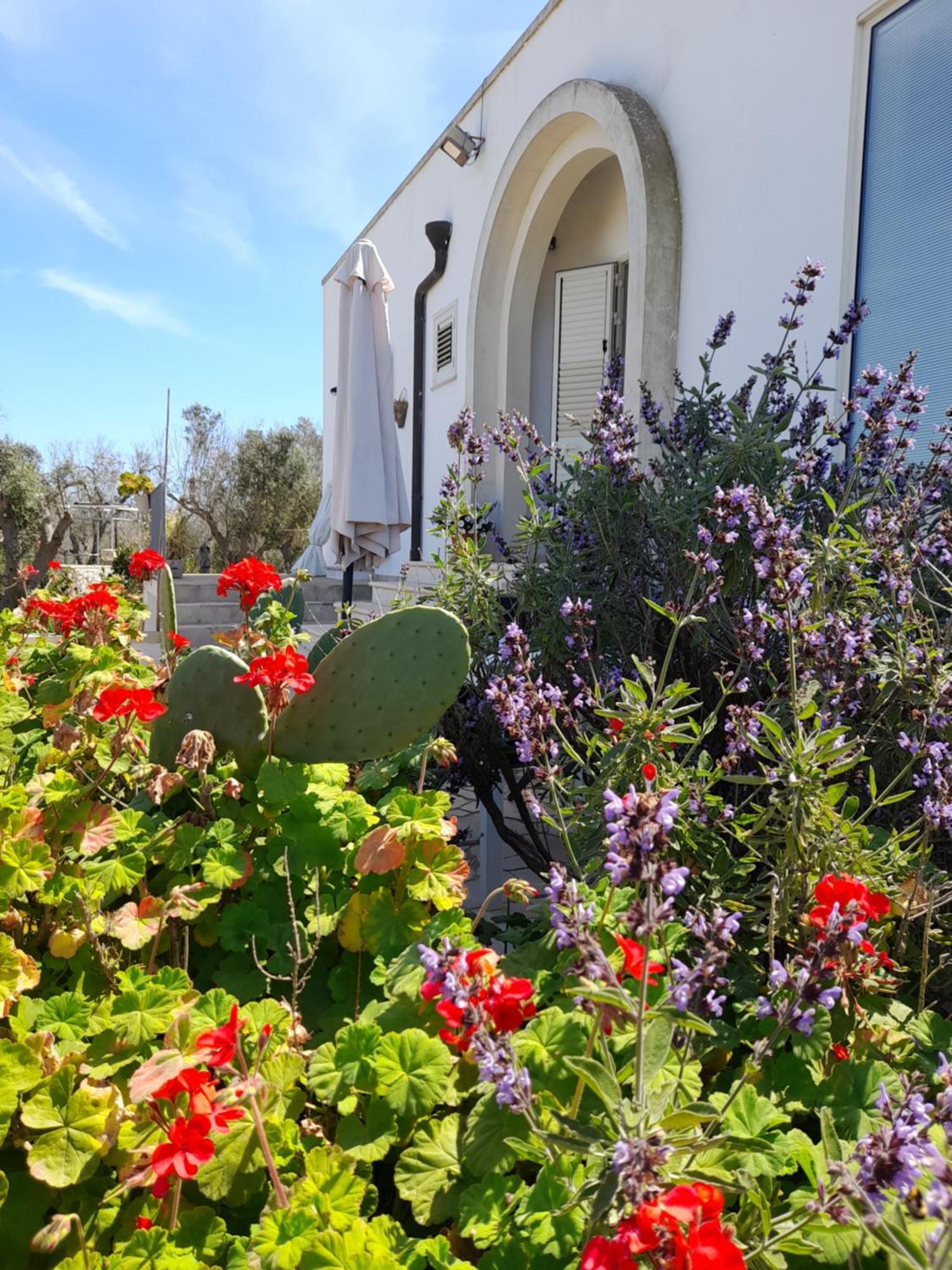 Casamassella Tenuta Valle Dell Idro Otranto Con Piscina מראה חיצוני תמונה