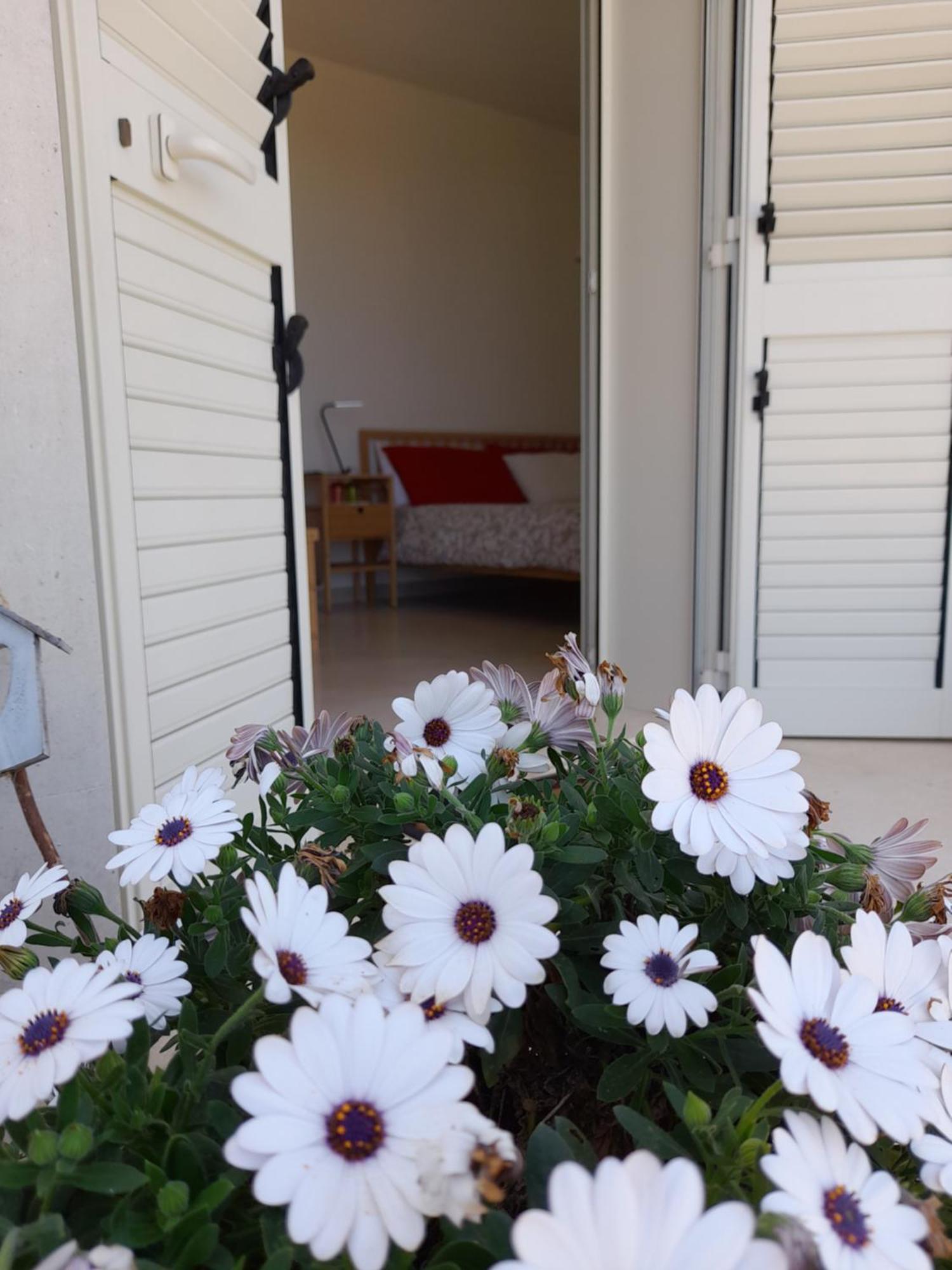 Casamassella Tenuta Valle Dell Idro Otranto Con Piscina מראה חיצוני תמונה
